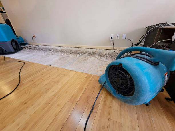 Professional Water Removal technician working in Deerfield, NH